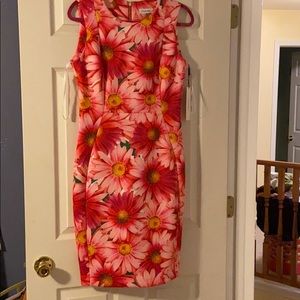 Beautiful Dress by Calvin Klein